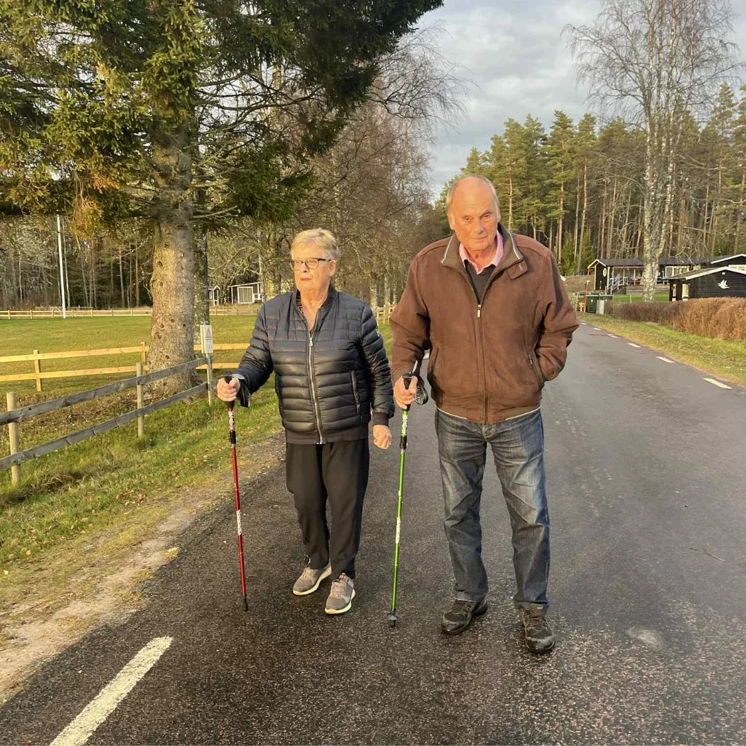 Sneakerpalace| Sammenklappelige trekking-stave i letmetal til vandring